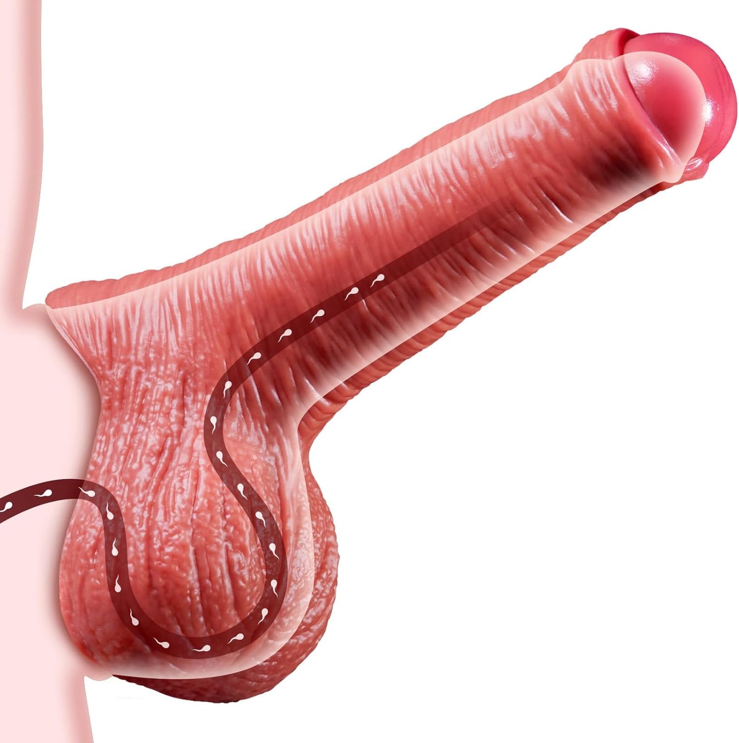 Elastic Penis Sleeve | Realistic Extender for Bigger & Thicker